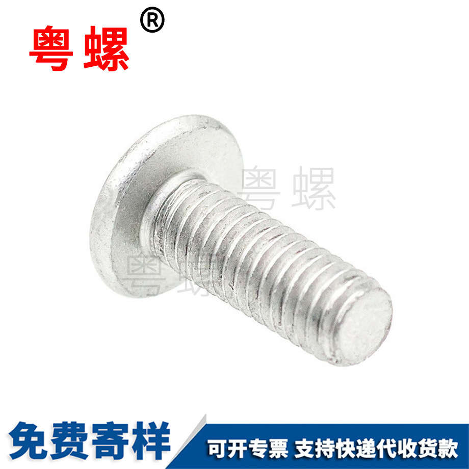 圓柱導(dǎo)頸非標(biāo)螺絲 圓柱導(dǎo)頸非標(biāo)螺絲