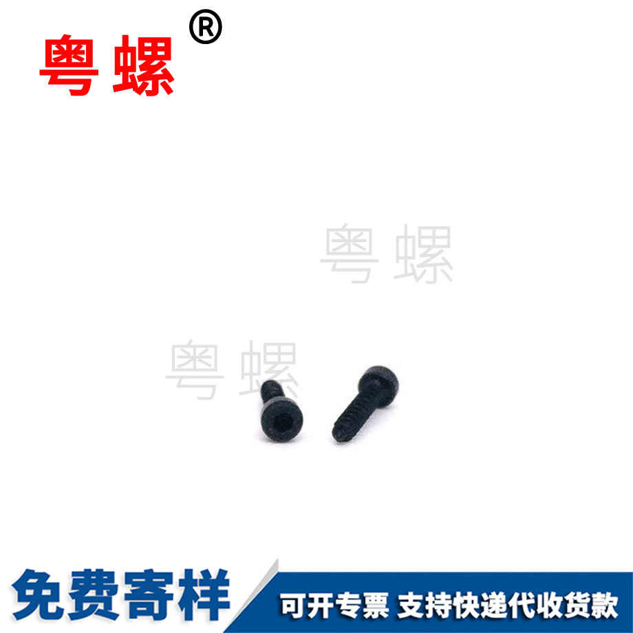 批發(fā)杯頭內(nèi)角拉薩自攻螺絲