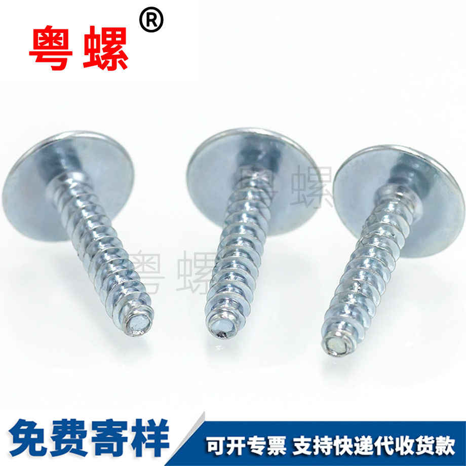 訂制圓頭自紅河帶墊自攻