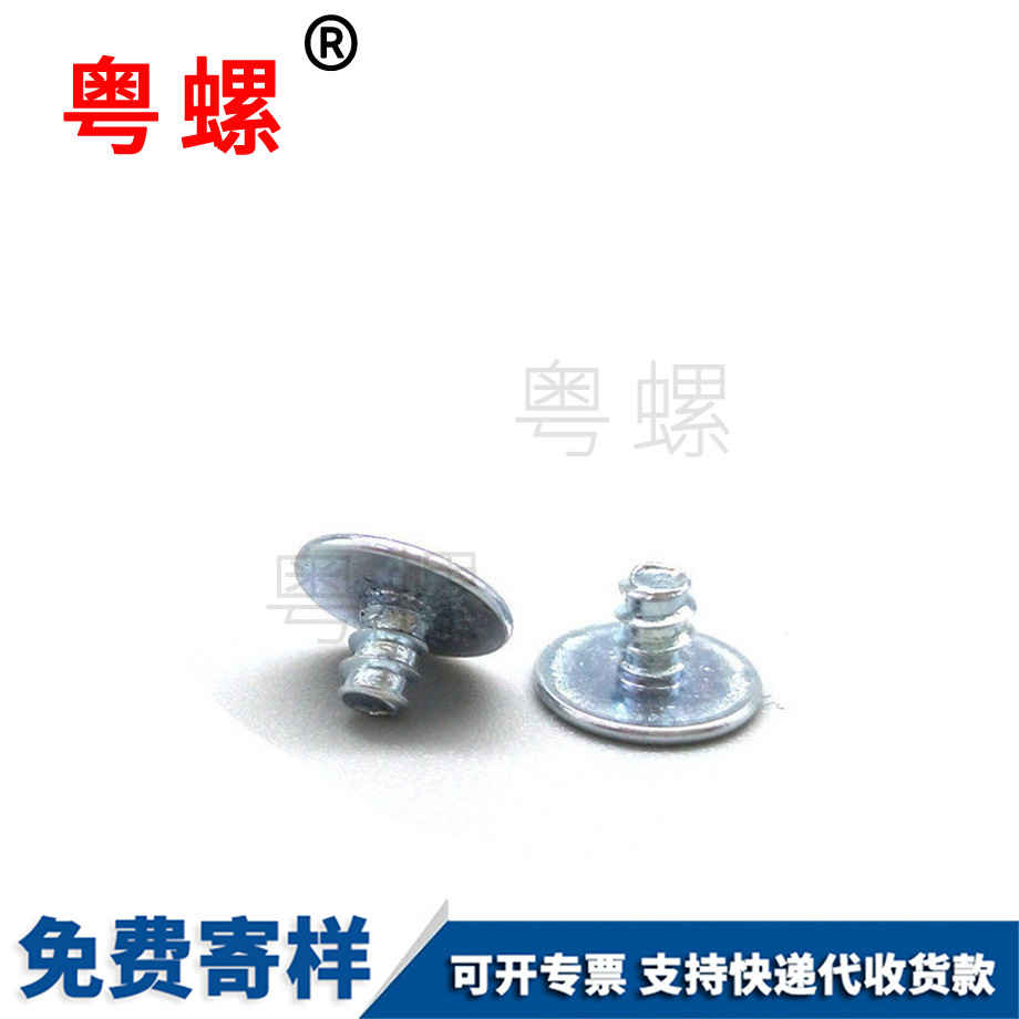 非標(biāo)電子螺絲 非標(biāo)電子螺絲