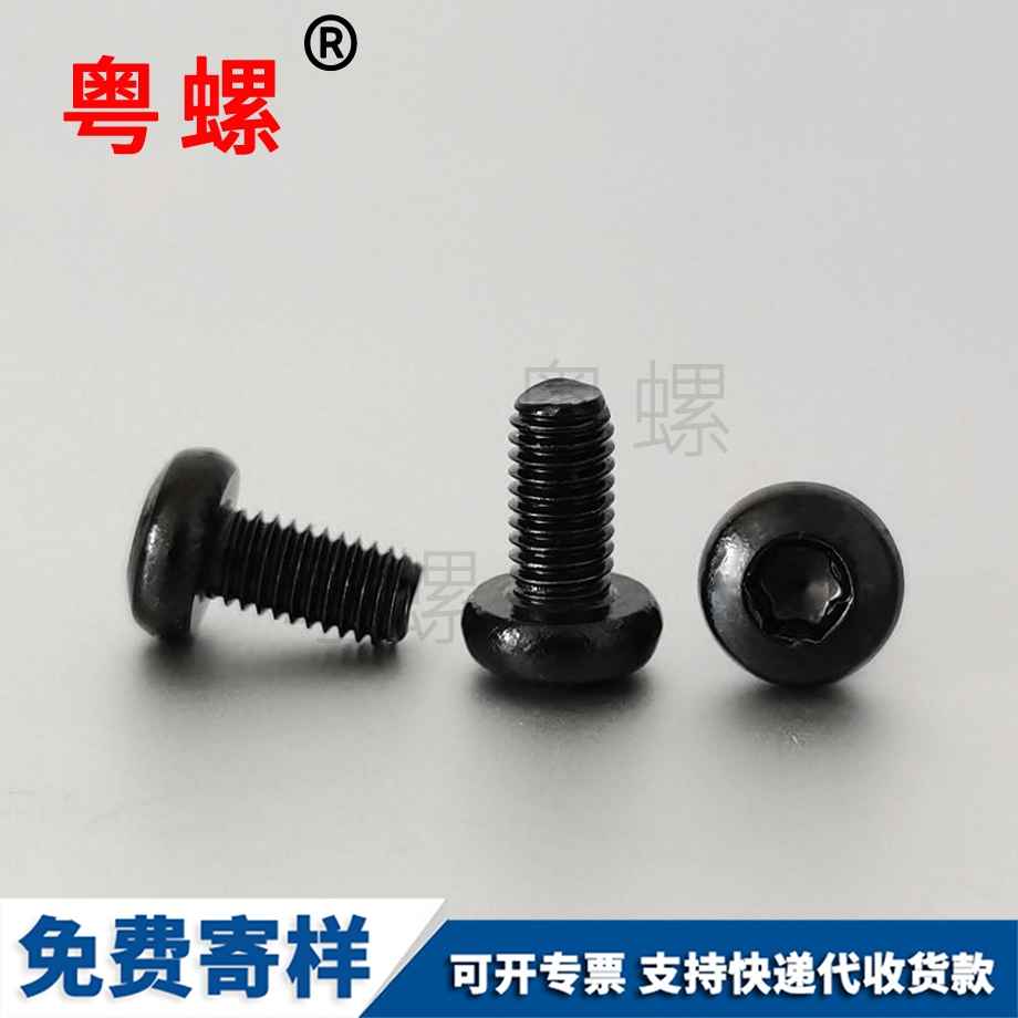 生產文山防盜螺絲