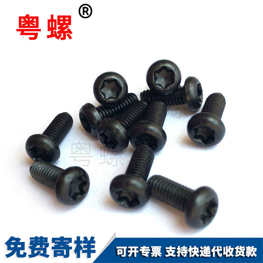 圓頭梅花拉薩防盜螺絲 圓頭梅花拉薩防盜螺絲
