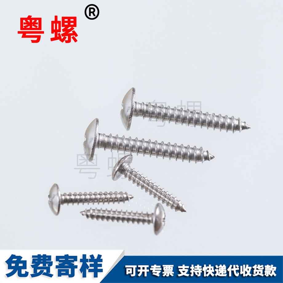 十字槽大扁頭紅河自攻釘 十字槽大扁頭紅河自攻釘