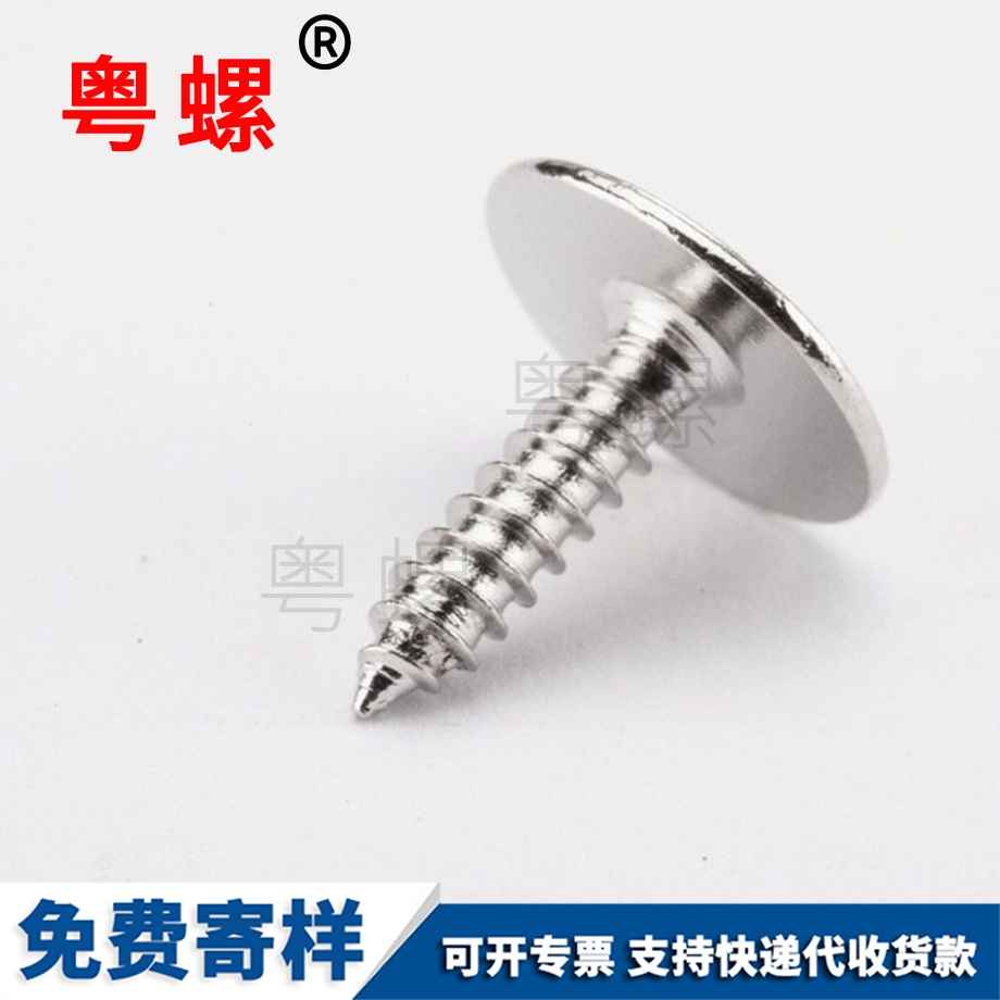 秦皇島自攻螺釘 秦皇島自攻螺釘