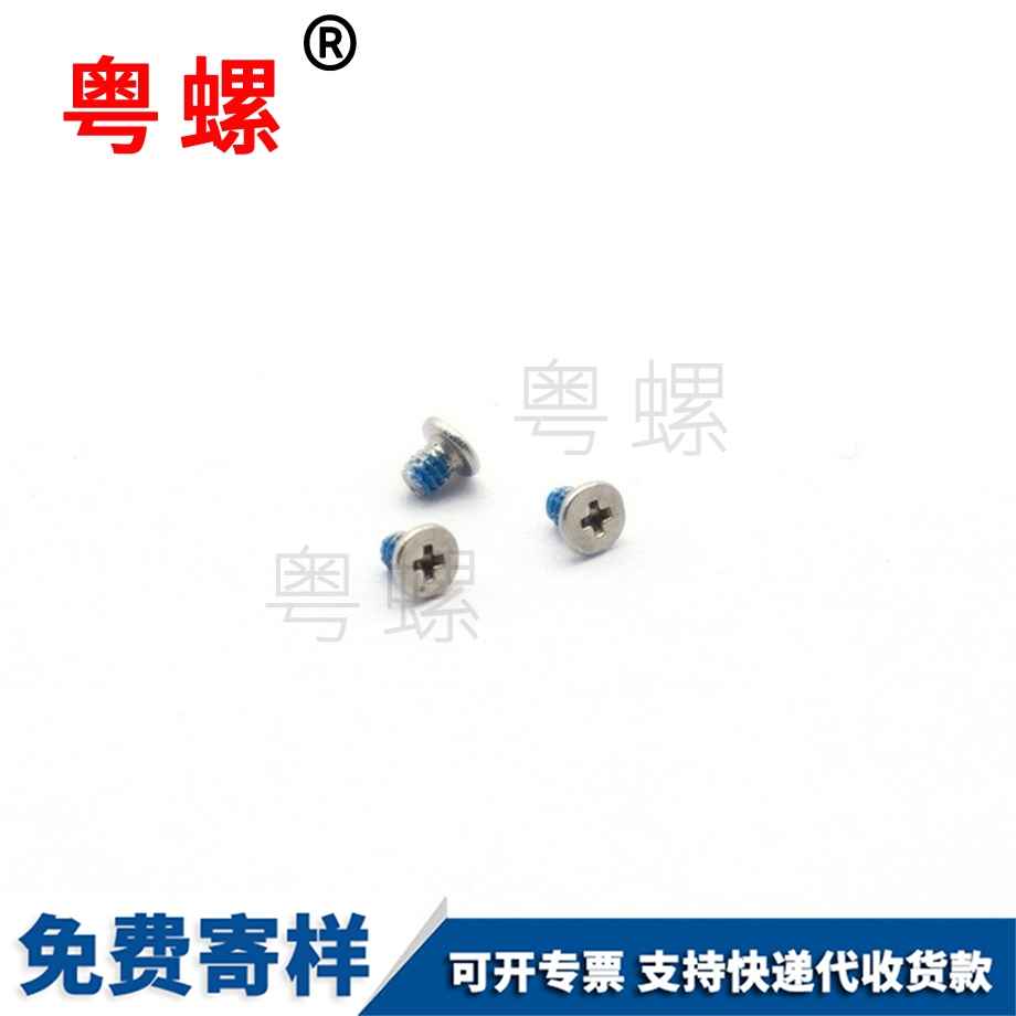 不銹鋼拉薩電子螺絲