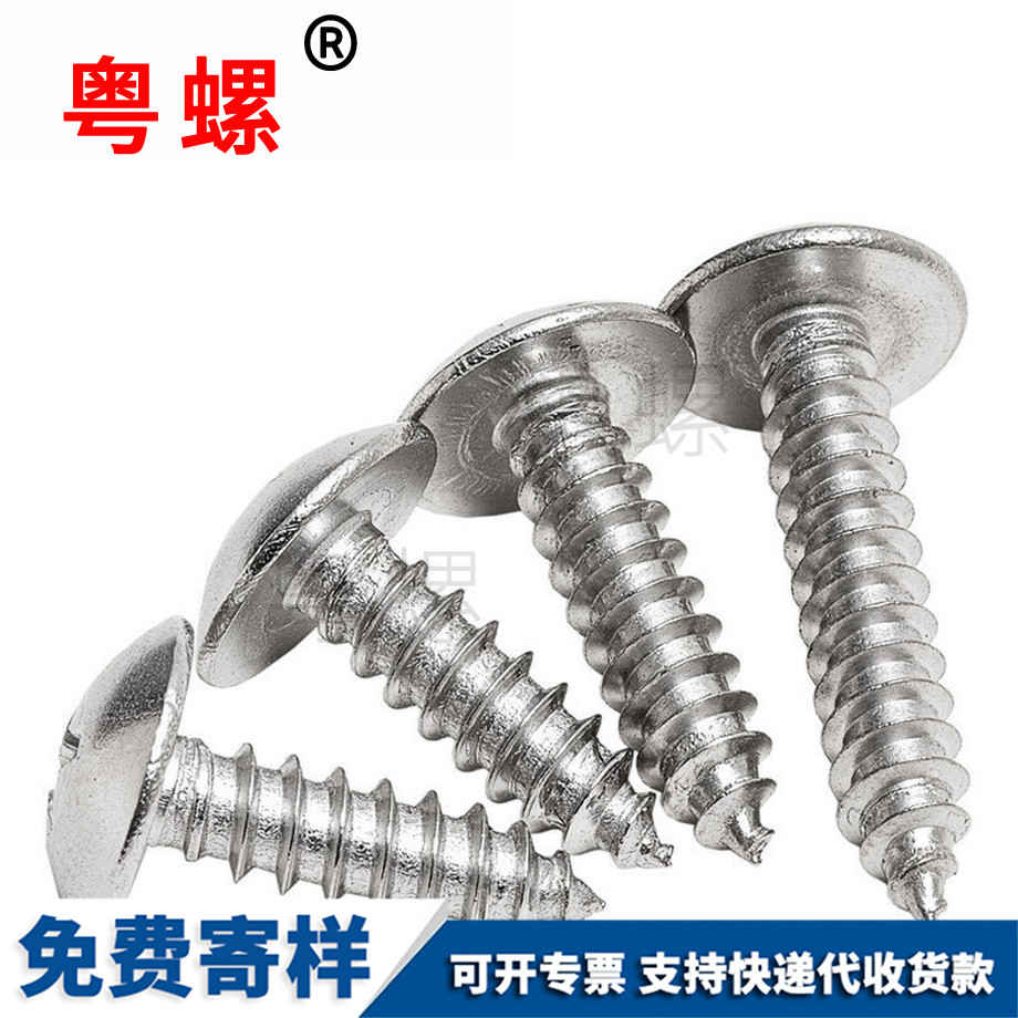 阜陽大扁頭自攻阜陽螺絲釘
