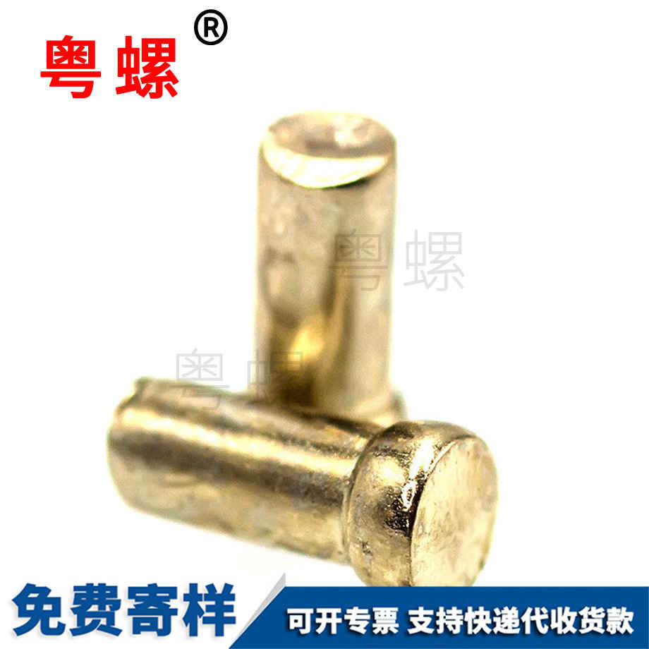 蕪湖黃銅平頭銷軸螺栓 蕪湖黃銅平頭銷軸螺栓