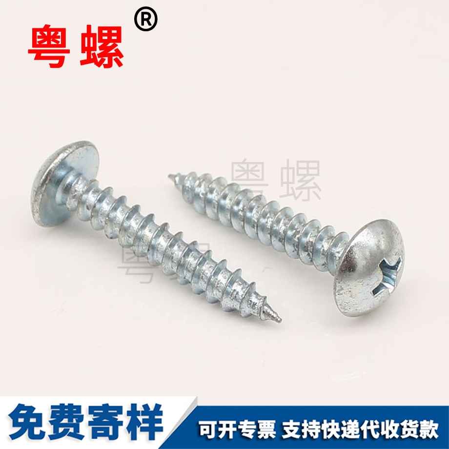 大扁頭圓頭 大扁頭圓頭