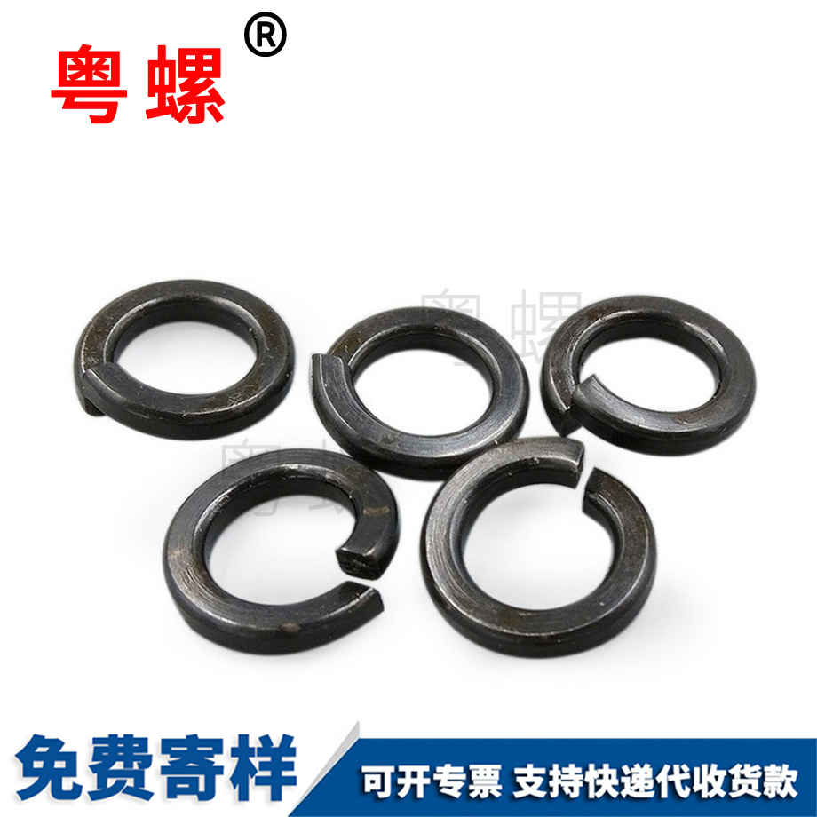 秦皇島彈墊圈 秦皇島彈墊圈