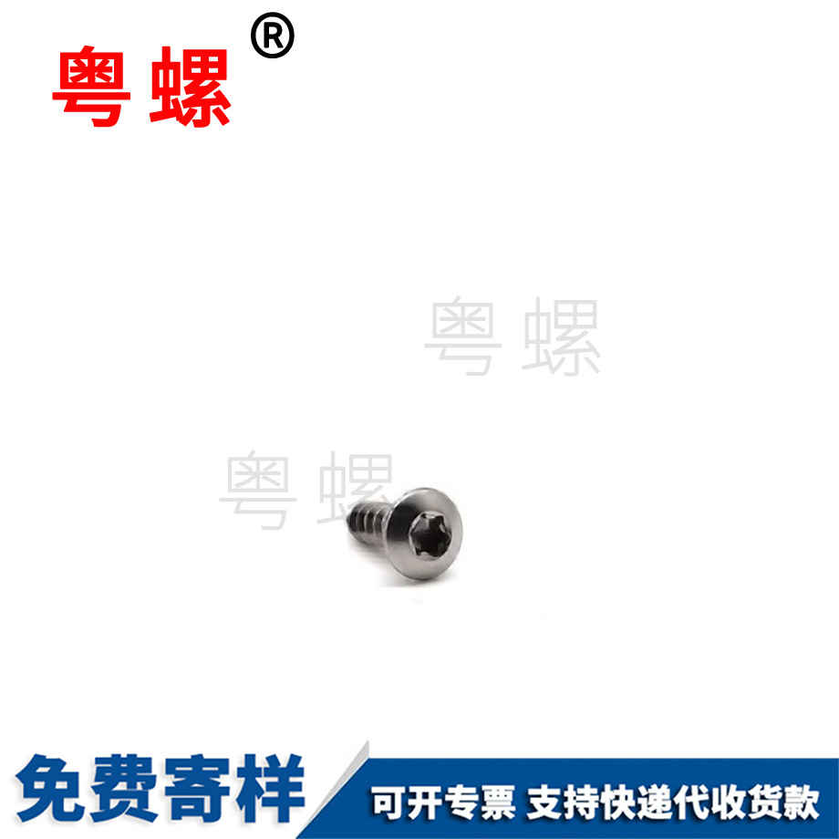 定制梅花穴紅河自攻螺釘