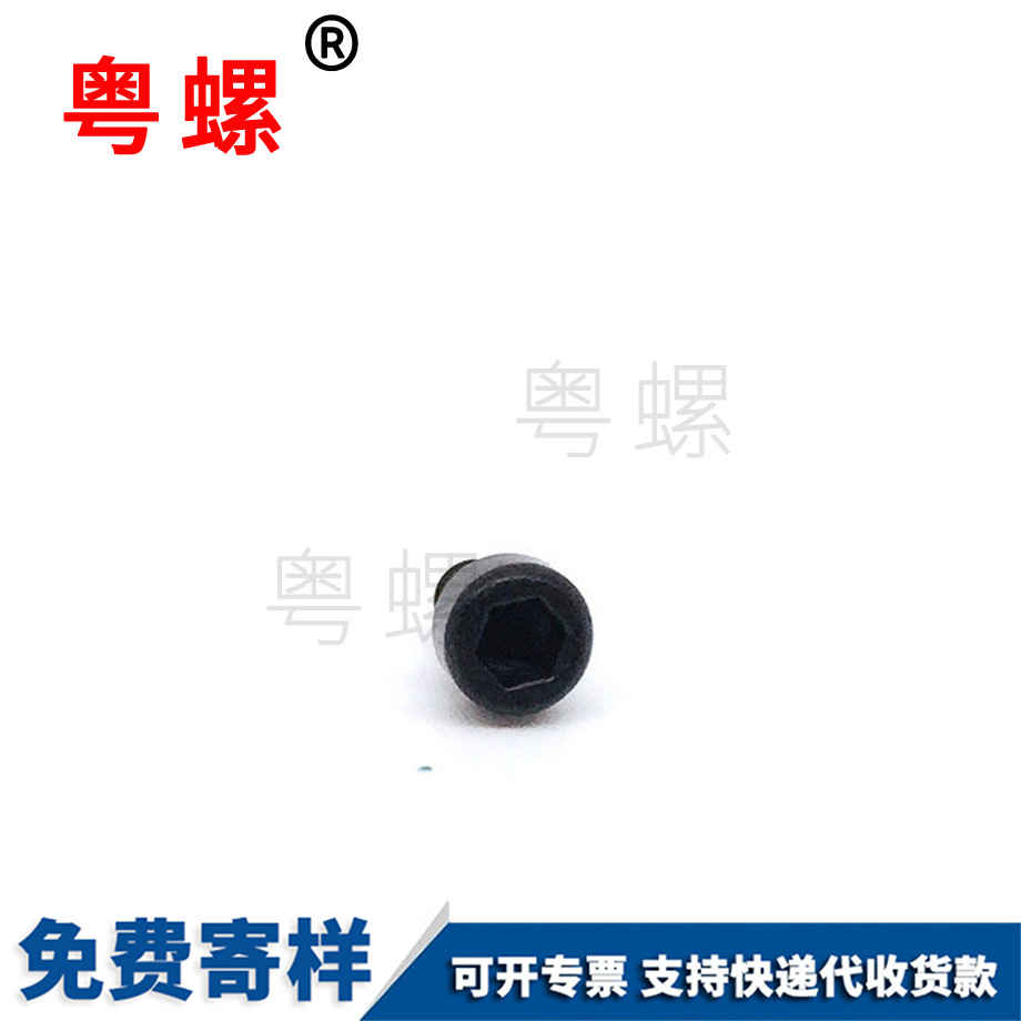 生產(chǎn)杯頭梅花拉薩自攻螺絲