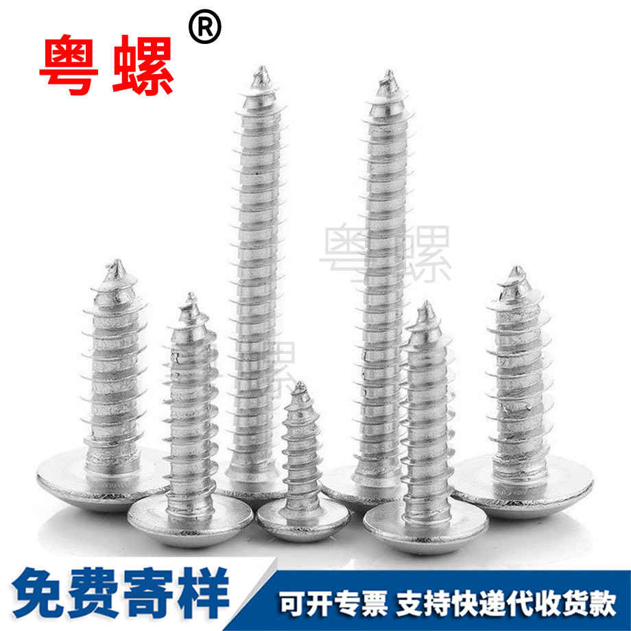 十字拉薩拉薩大扁頭拉薩自攻螺絲 十字拉薩拉薩大扁頭拉薩自攻螺絲