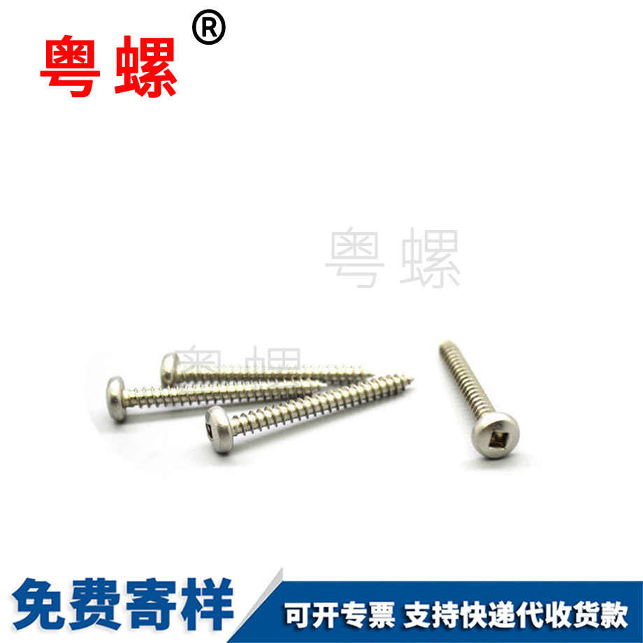 拉薩不銹鋼拉薩盤頭螺絲 拉薩不銹鋼拉薩盤頭螺絲