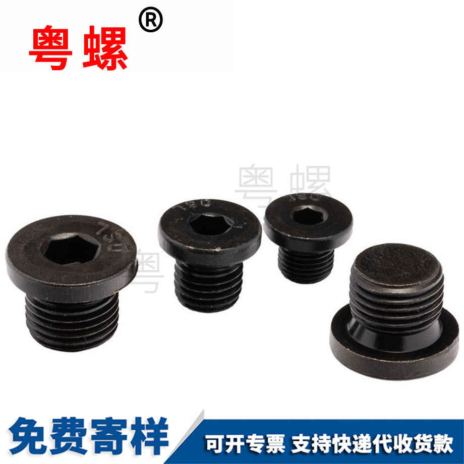 訂制內(nèi)六角法蘭面拉薩堵頭