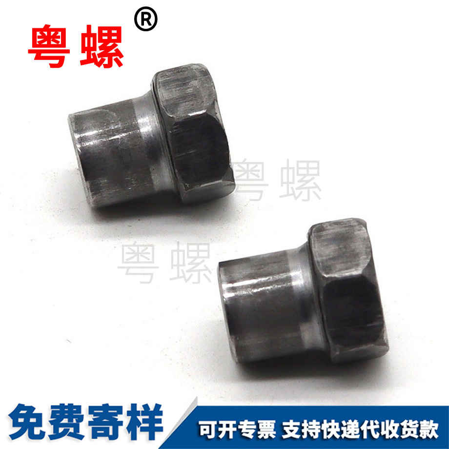 冷鐓毛坯湖北臺階螺母