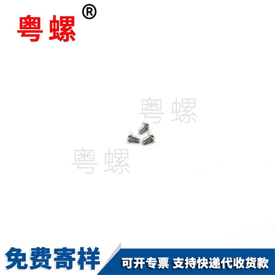 非標小螺釘 非標小螺釘