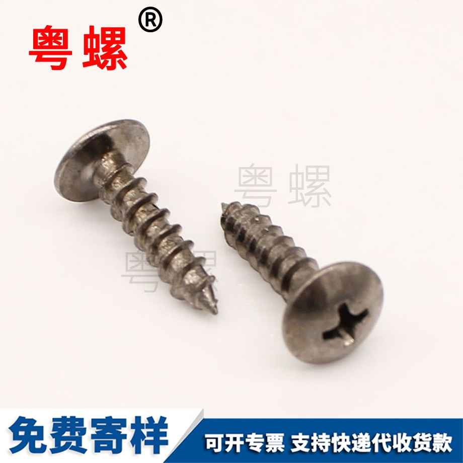 大扁頭大圓頭 大扁頭大圓頭