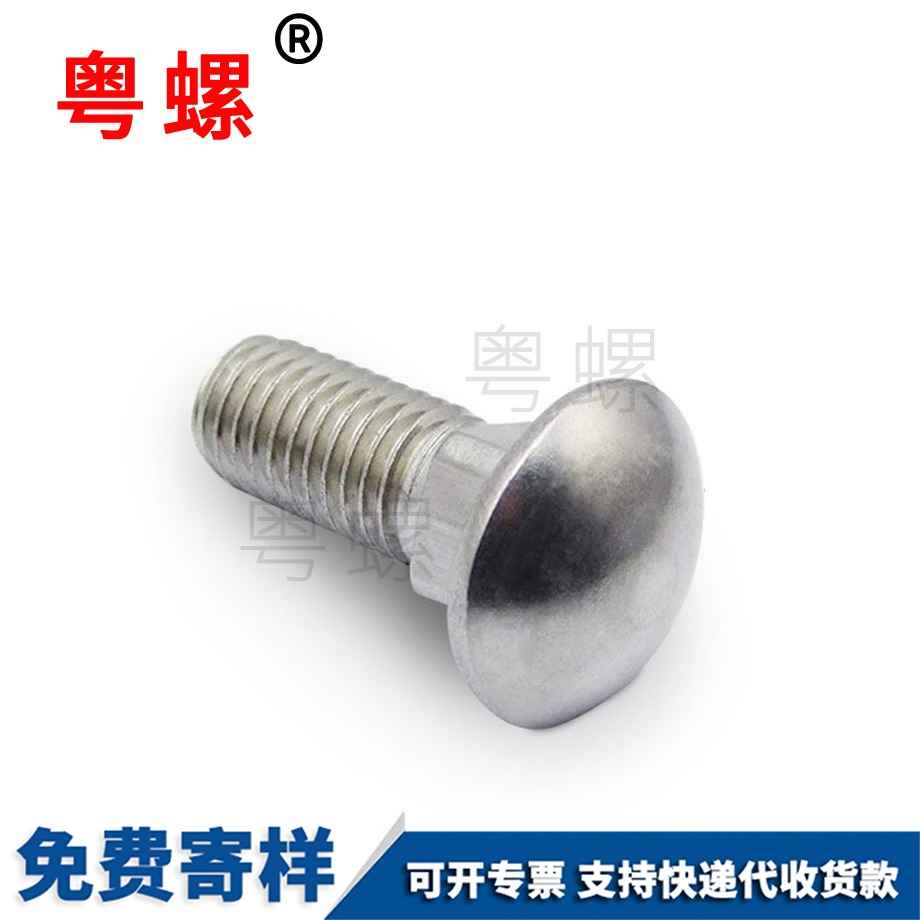 小頭小半圓頭 小頭小半圓頭