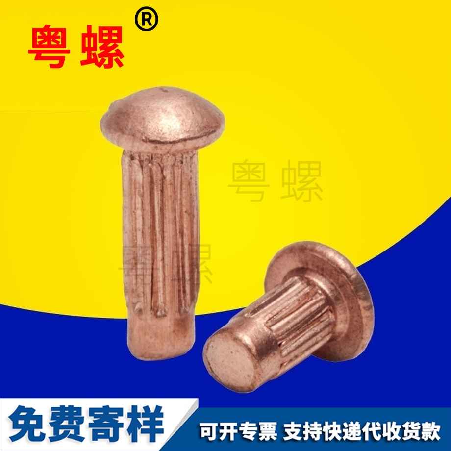 蕪湖紫蕪湖銅鉚釘