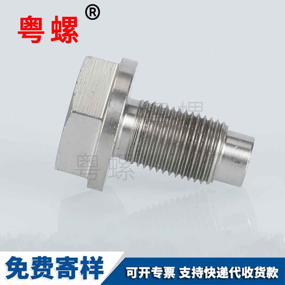 六角不銹鋼大興螺絲釘 六角不銹鋼大興螺絲釘