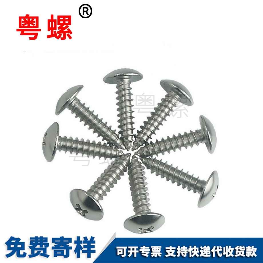 蕪湖十字蕪湖大扁頭自攻蕪湖螺絲釘 蕪湖十字蕪湖大扁頭自攻蕪湖螺絲釘