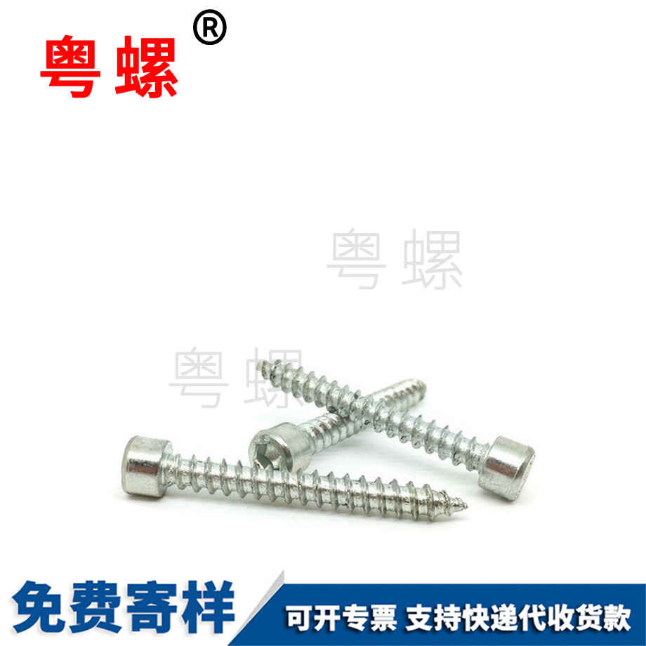 紅河紅河帶墊紅河自攻螺釘 紅河紅河帶墊紅河自攻螺釘