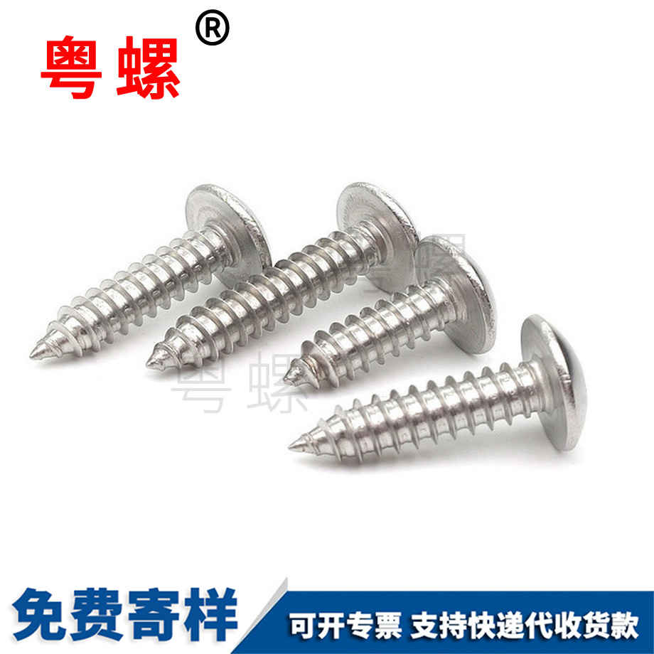 阜陽(yáng)大扁頭自攻阜陽(yáng)螺絲釘 阜陽(yáng)大扁頭自攻阜陽(yáng)螺絲釘