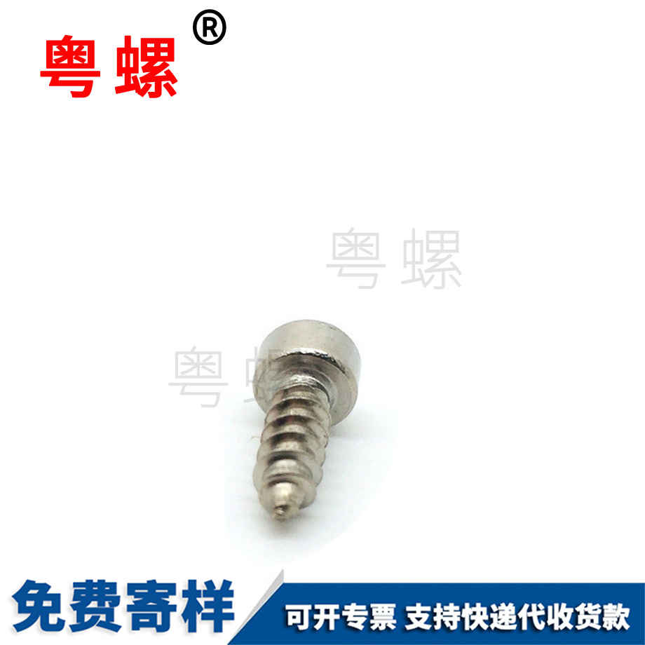 九龍坡杯頭梅花九龍坡九龍坡內(nèi)九龍坡六角九龍坡自攻螺絲