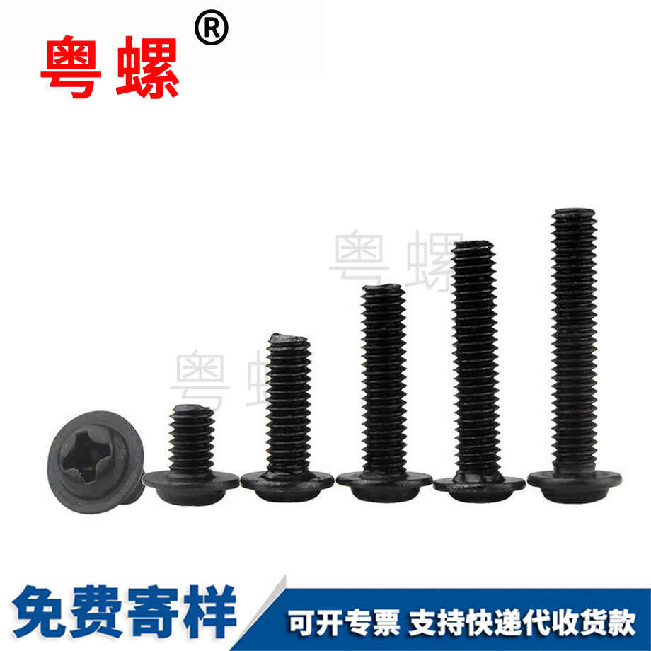 帶墊螺絲 帶墊螺絲