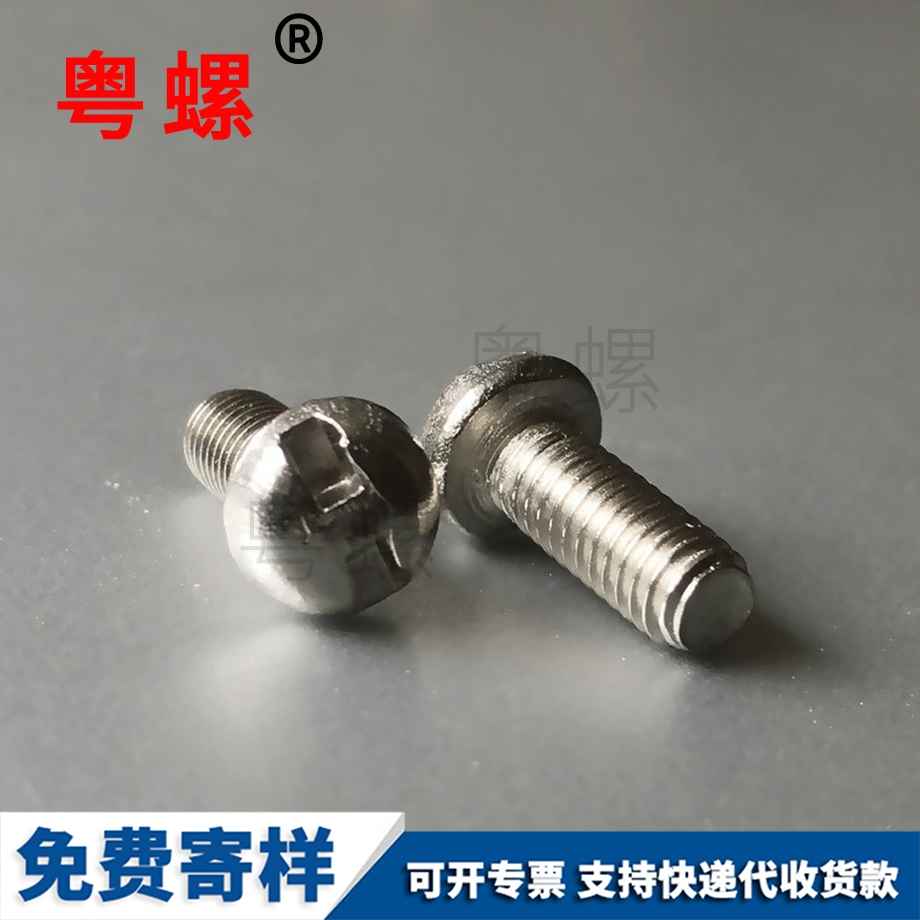 訂做圓頭H槽秦皇島防盜螺絲