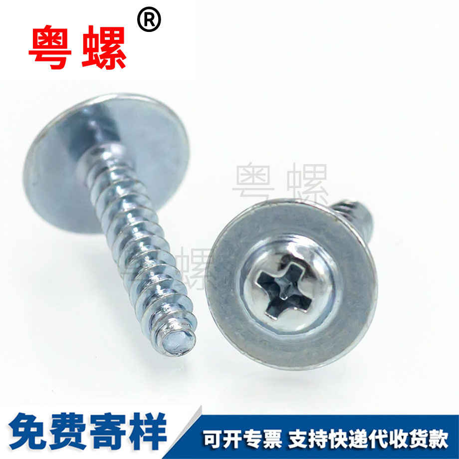 紅河介子螺絲 紅河介子螺絲